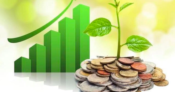 Lịch chốt quyền cổ tức tuần 13-17/4: Ba doanh nghiệp 