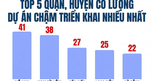 Bóc 341 dự án "đắp chiếu" tại Hà Nội: Mê Linh dẫn đầu số lượng dự án, hàng loạt doanh nghiệp đình đám Viglacera, Geleximco, Nam Cường, Sudico...bị điểm tên