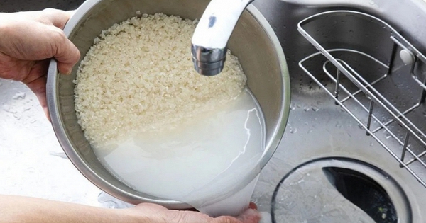 Cần vo gạo trước khi nấu cơm không? Chuyên gia 