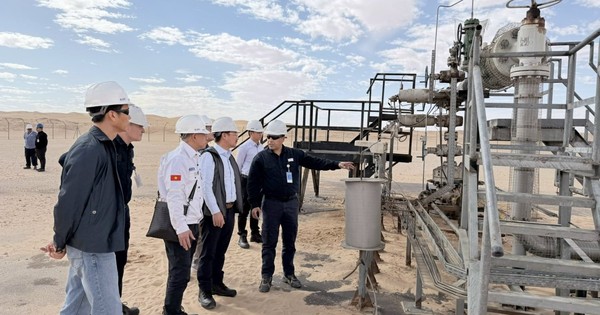 Đấu thầu thăm dò 7 lô dầu khí ở quốc gia Bắc Phi xuất khẩu khí tự nhiên lớn thứ 2 thế giới, DN Việt Nam nào xuất hiện?