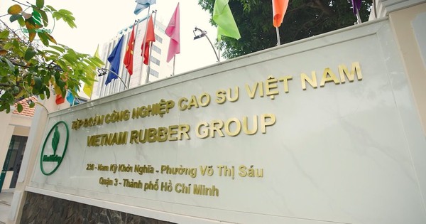 Một tập đoàn Nhà nước trả cho nhân sự trung bình 53 triệu đồng/tháng