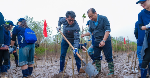 Panasonic Vietnam: Khi phát triển bền vững không phải đích đến mà là hành trình