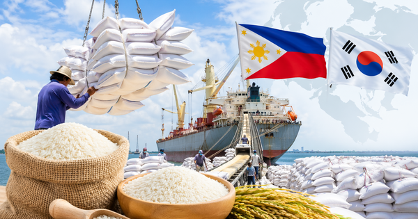 Tín hiệu cực vui cho 'hạt vàng' Việt Nam: Hai khách sộp đua 'vét hàng', hàng trăm tàu sẵn sàng vươn khơi