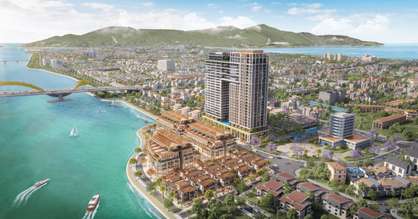 Công ty Cù Lao Chàm báo lãi hơn 775 tỷ đồng trong năm 2025