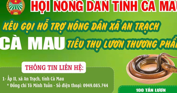 Cà Mau kêu gọi 