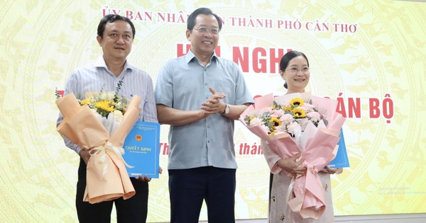 Cần Thơ bổ nhiệm, điều động 2 nhân sự lãnh đạo