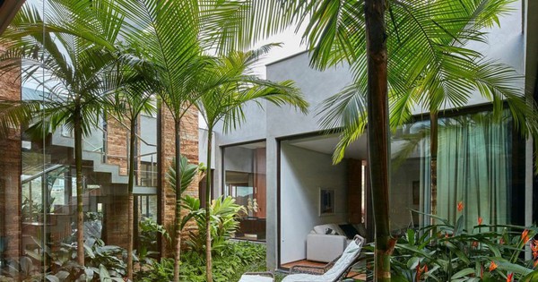 4 loại cây nên trồng trước cửa nhà: Vừa ‘trấn trạch’, vừa ‘hút’ tài lộc