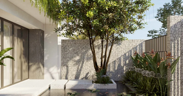 4 loại cây may mắn nên trồng trước sân nhà, gia đình không giàu sang cũng trở nên quyền quý