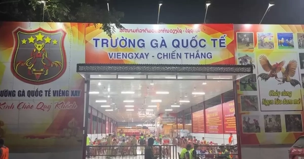 Triệt phá đường dây đá gà xuyên quốc gia, giao dịch hơn 1.200 tỷ đồng trong gần 1 tháng