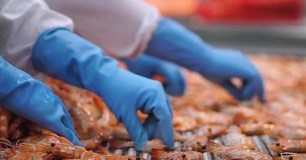 Việt Nam làm chủ công nghệ có thể gia tăng sức mạnh cho ngành xuất khẩu tỷ USD