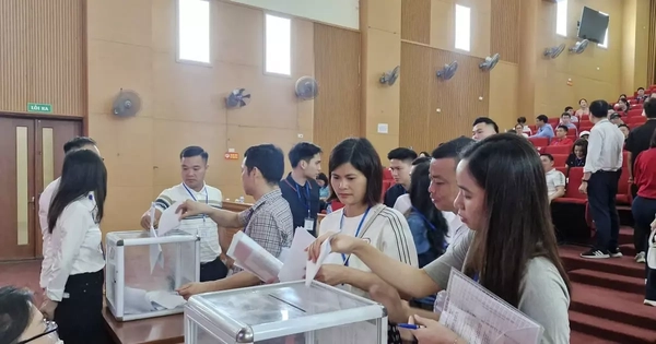 Hà Nội: 17 lô đất ở xã Quốc Oai được đấu giá thành công từ 84 - 125 triệu đồng/m2