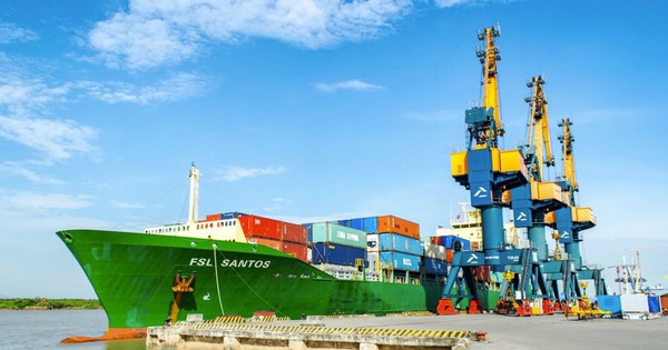 Quỹ Leadvisors trở thành cổ đông lớn của Viconship