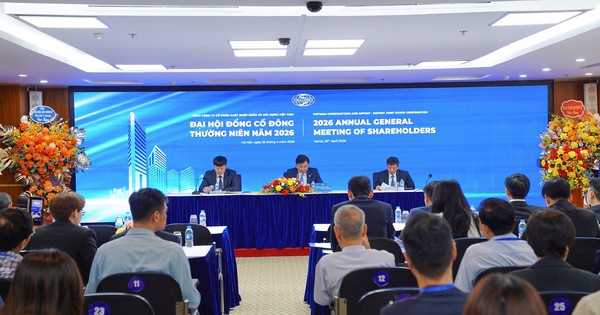 Tổng giám đốc Vinaconex: 