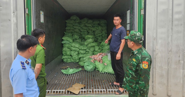 Kiểm tra bất ngờ một loạt tiểu thương: Tịch thu hàng nghìn tấn sản phẩm sai phạm, có người bị phạt 125 triệu đồng