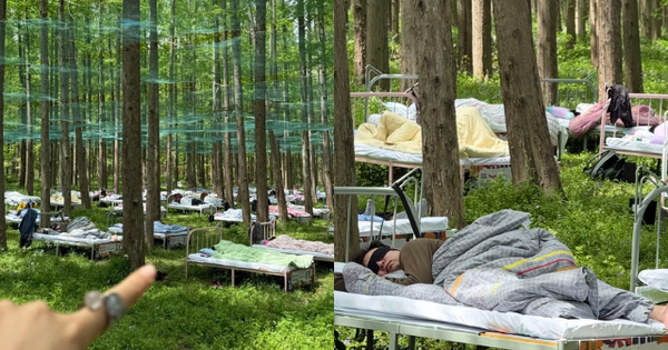 Cuộc thi ngủ trong rừng đang hot ở Trung Quốc: Kín 400 suất đăng ký, tiền thưởng cho “thần ngủ