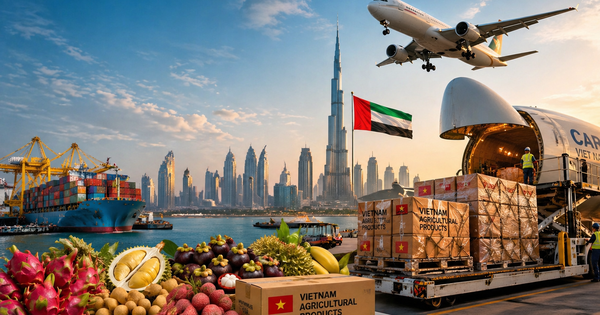 Lần đầu tiên siêu tập đoàn 8 tỷ USD thuê máy bay chở 100 tấn rau quả Việt, tin cực vui cho doanh nghiệp xuất khẩu sang Trung Đông