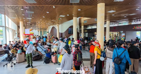 Bến cảng đặc khu Vân Đồn đông nghịt khách