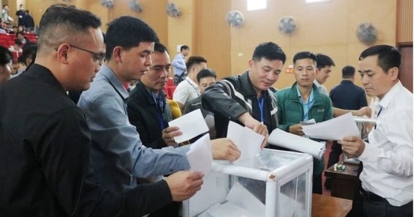 Đấu giá đất tại xã Quốc Oai (Hà Nội) giá trúng cao nhất gấp 9 lần khởi điểm