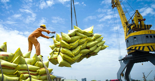 Một mặt hàng 'tỷ đô' của Việt Nam đón tin cực vui từ Philippines và Trung Quốc - triển vọng mang về 5 tỷ USD