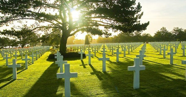 Công ty mai táng trả cổ tức tiền mặt 