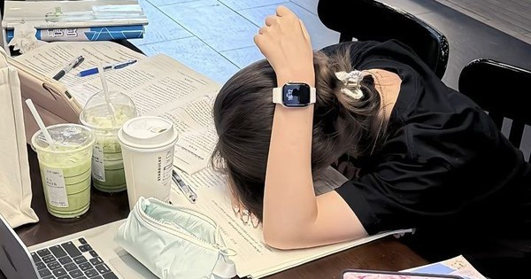 5 dấu hiệu của người hợp học lên cao học