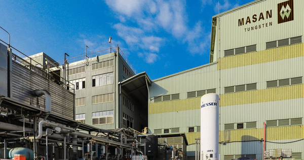 Từ biến động giá vàng đến vonfram: Masan High-Tech Materials (MSR) hưởng lợi khi dòng tiền rời nơi trú ẩn tìm đến “tài sản chiến lược”