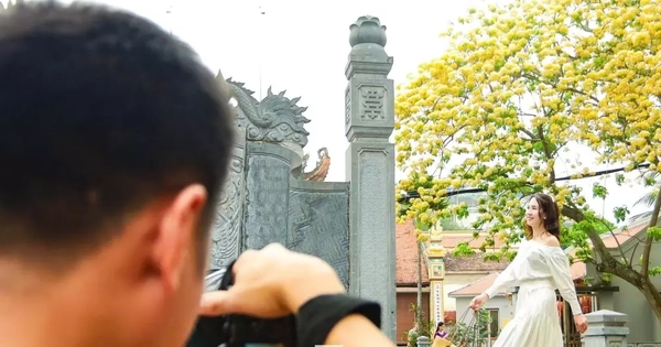 Người Hà Nội bắc ghế săn ảnh hoa bún chỉ nở một lần trong năm