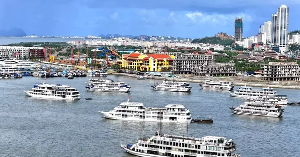 Vịnh Hạ Long - Lan Hạ lần đầu tiên thông tuyến du lịch