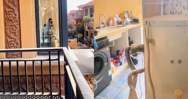 Đi công tác 6 tháng không về, cô gái sốc nặng khi phát hiện ban công hàng xóm lấn sát cửa sổ phòng ngủ: Cơ quan chức năng vào cuộc