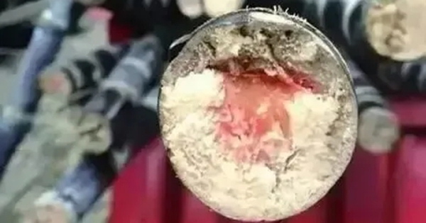 Loại thức ăn này độc hơn cả rắn vào dịp Tết Thanh Minh!