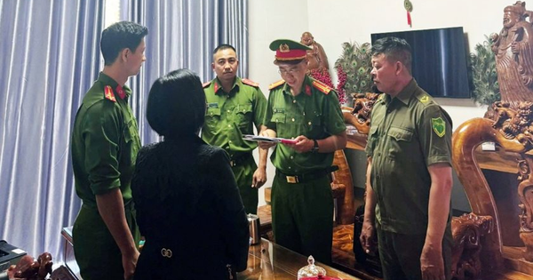 1 chủ hộ kinh doanh bị khởi tố vì buôn bán gỗ có doanh thu 143 tỷ đồng nhưng chỉ nộp thuế 900k