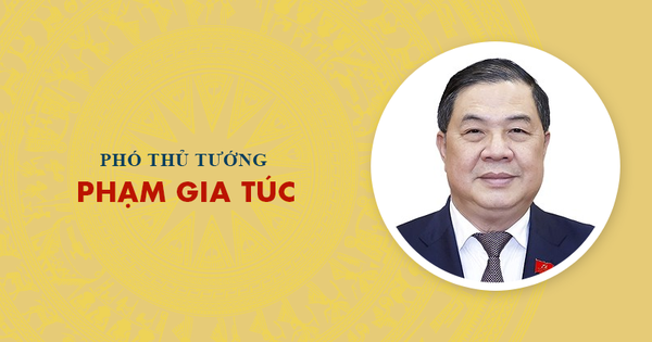 Infographic: Sự nghiệp Phó Thủ tướng Phạm Gia Túc