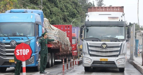 Tạm ngưng hiệu lực Nghị định 46 và Nghị quyết 66.13