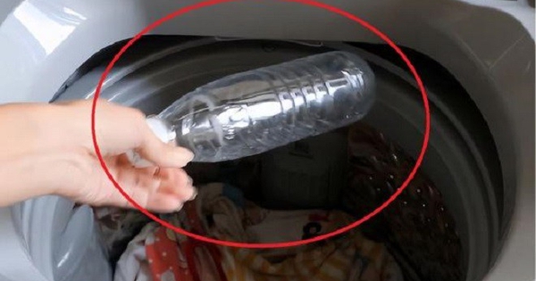 Thả 1 chai nhựa rỗng vào máy giặt: Quần áo hết cảnh xoắn tít như bó giò, chấm dứt ác mộng nhăn nhúm