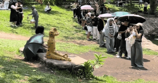 Giới trẻ xếp hàng ở Thảo Cầm Viên chụp ảnh với ếch ngồi thiền và loạt thú hoá đá: Tất cả là từ Sơn Tùng M-TP!