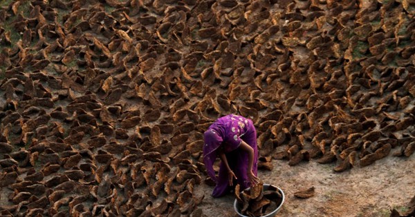 Cảnh tượng chưa từng thấy ở Ấn Độ: Khắp đường phố 