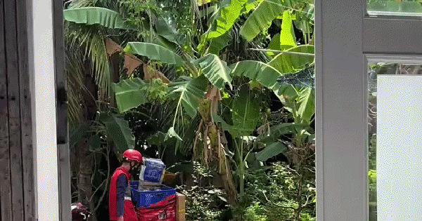 Shipper thái độ ra mặt, liệng gói hàng đánh bộp: Cả trăm lời khuyên rate 1 sao nhưng khách không dám