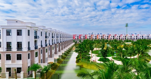 Không phô trương vẫn đắt giá: “Ốc đảo thượng lưu” Vịnh Xanh hút giới tinh hoa