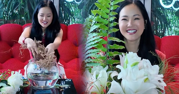 Diva Hồng Nhung công khai độc thân ở tuổi 56, tủi thân vì phải 