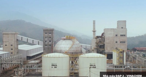 Nghịch lý tại Tập đoàn nhà nước 60.000 tỷ: Kiểm toán nghi ngờ khả năng hoạt động tại 3 công ty con dù doanh thu kỷ lục, lãi tăng vọt