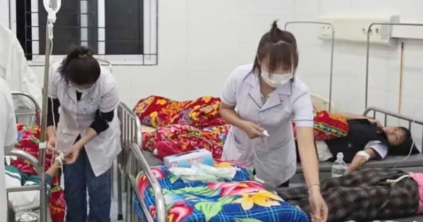 Học sinh nhập viện sau khi ăn quả lạ hái ven rừng, Bộ Y tế vào cuộc