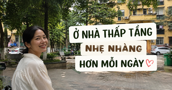Rời căn hộ tầng 32 để về khu tập thể cũ, tôi mới hiểu sống thoải mái không nằm ở việc nhà cao bao nhiêu tầng