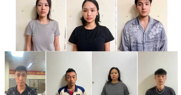 Khởi tố Miu Lê trong vụ tổ chức sử dụng ma túy ở Hải Phòng