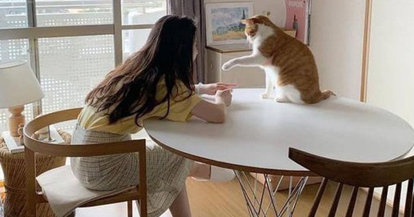 30 tuổi chưa mua được nhà, có lẽ tôi chỉ đủ sức nuôi nổi bản thân