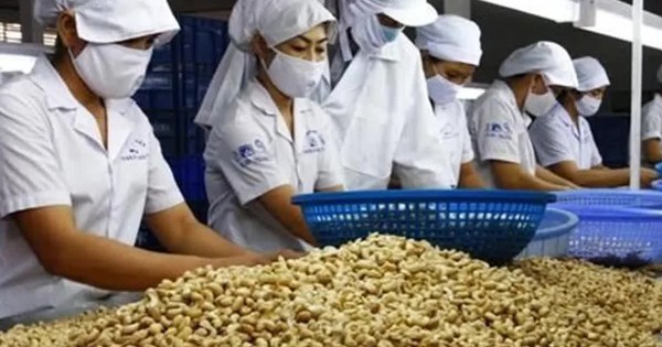 Ngành điều Việt Nam: Từ 'công xưởng chế biến' tới bài toán thương hiệu