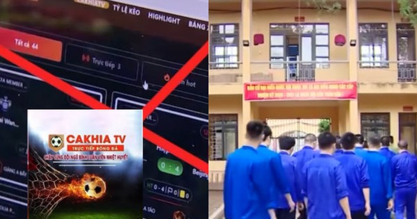 Khởi tố 23 đối tượng liên quan đến CakhiaTV, Rakhoi.TV, CaheoTV...; có nhiều sinh viên các trường công nghệ thông tin mới tốt nghiệp