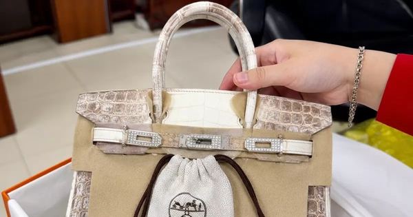 'Đại gia bí ẩn' chi hơn 14 tỷ mua 2 túi Hermès bạch tạng của bà Trương Mỹ Lan