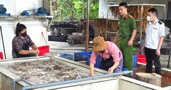 Phát hiện hơn 3 tấn lòng lợn thối chuẩn bị tiêu thụ tại Bắc Ninh