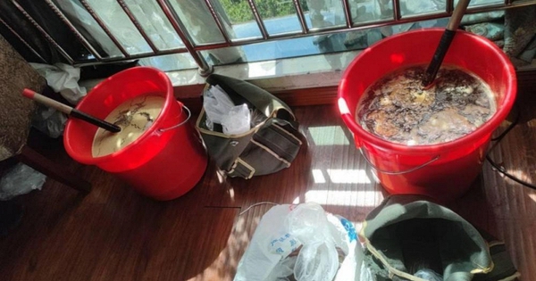 Đột kích 1 khách sạn, công an bắt giữ 2 người, tịch thu hơn 100 kg mật ong giả
