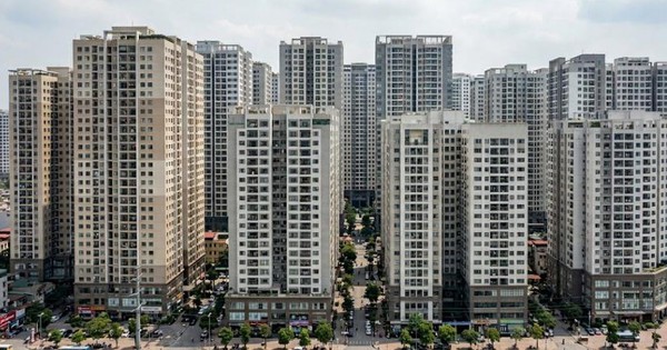 Viha Flora và chuẩn sống xanh theo chiều dọc: Khi thiên nhiên “dệt” tầng không